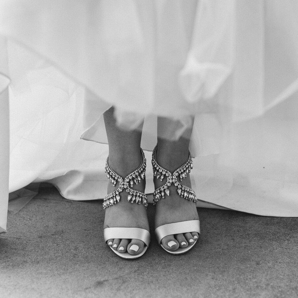 Meet your Posher, Tara